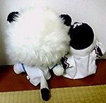 yasagure2.jpg
